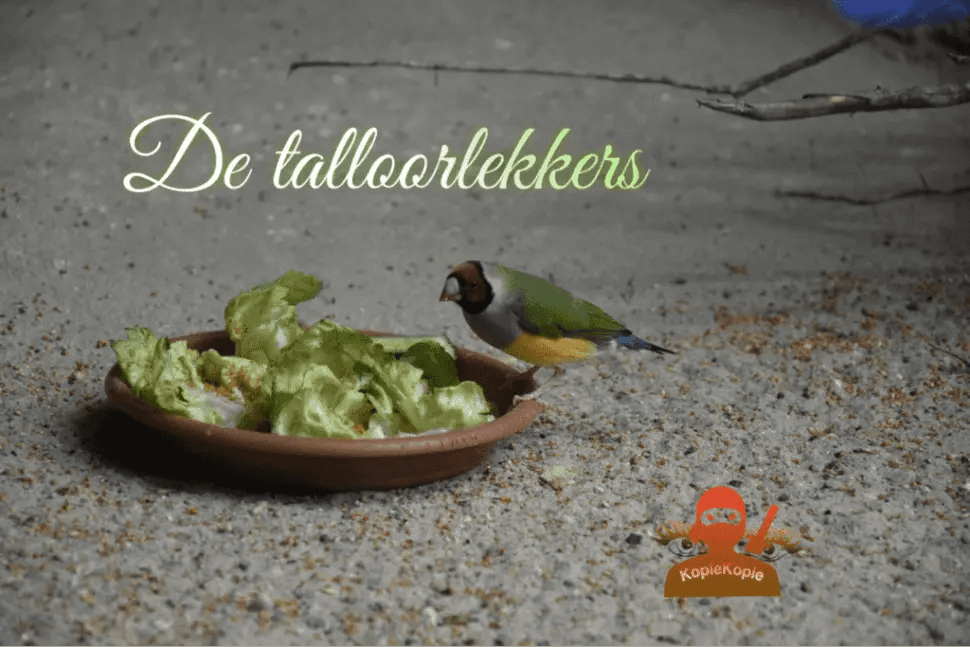 De Bordenlekkers