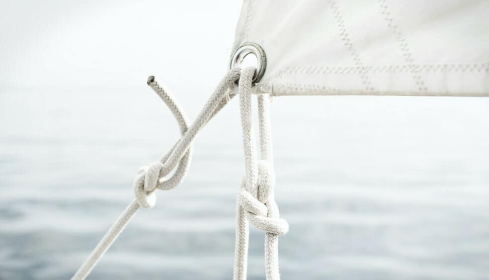 How Wealthy Affiliate Ensures Your Website's Integrity 2 How Wealthy Affiliate Ensures Your Website's Integrity