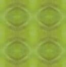 Backdrops - Variety - greens
as  background and paperwall for all kind of use and occasions