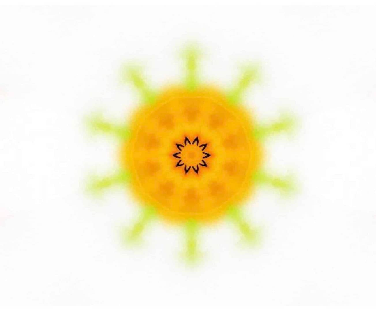 Kaleidoscope - Fractals of Light