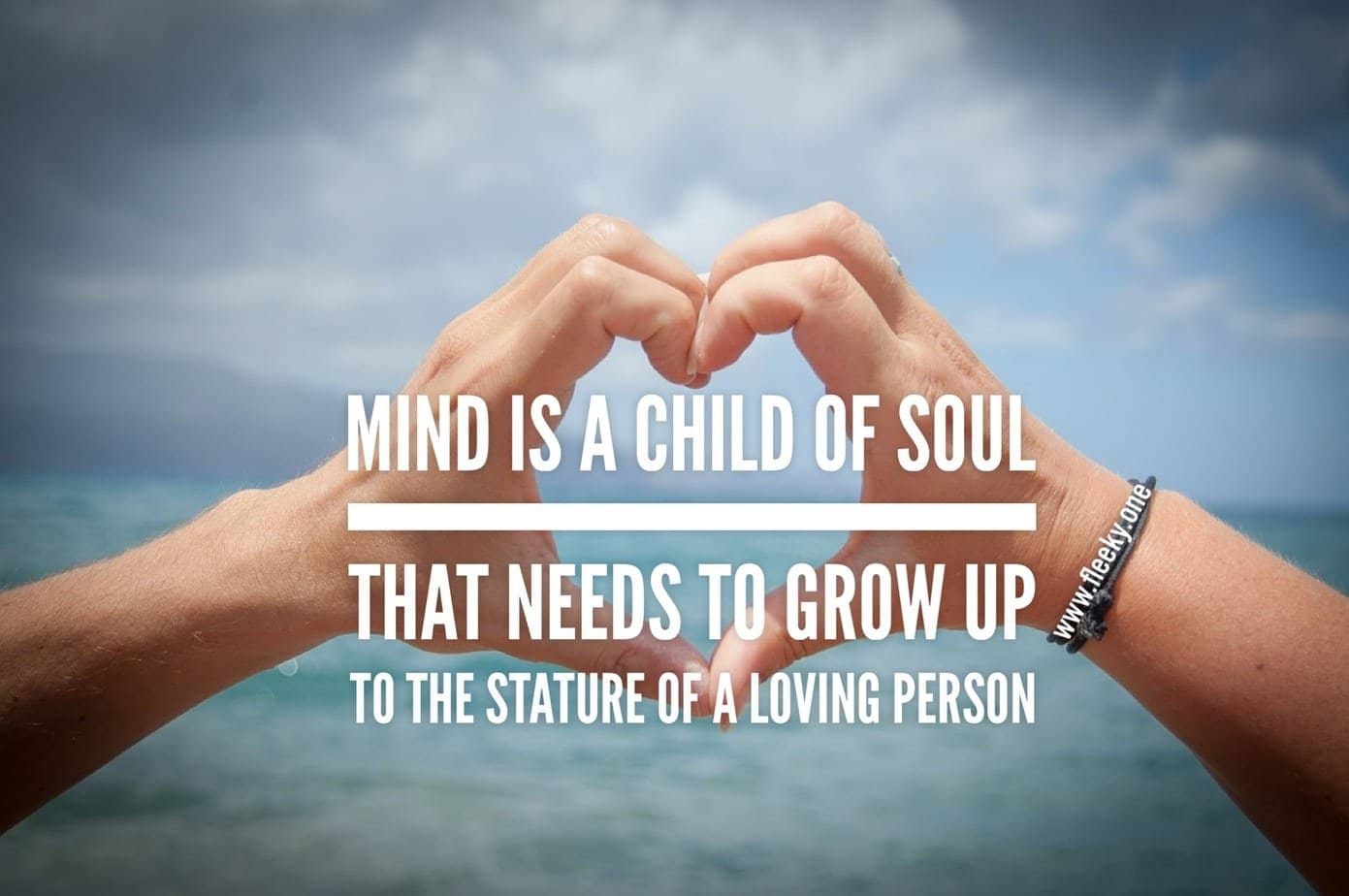 Mind is a child of soul