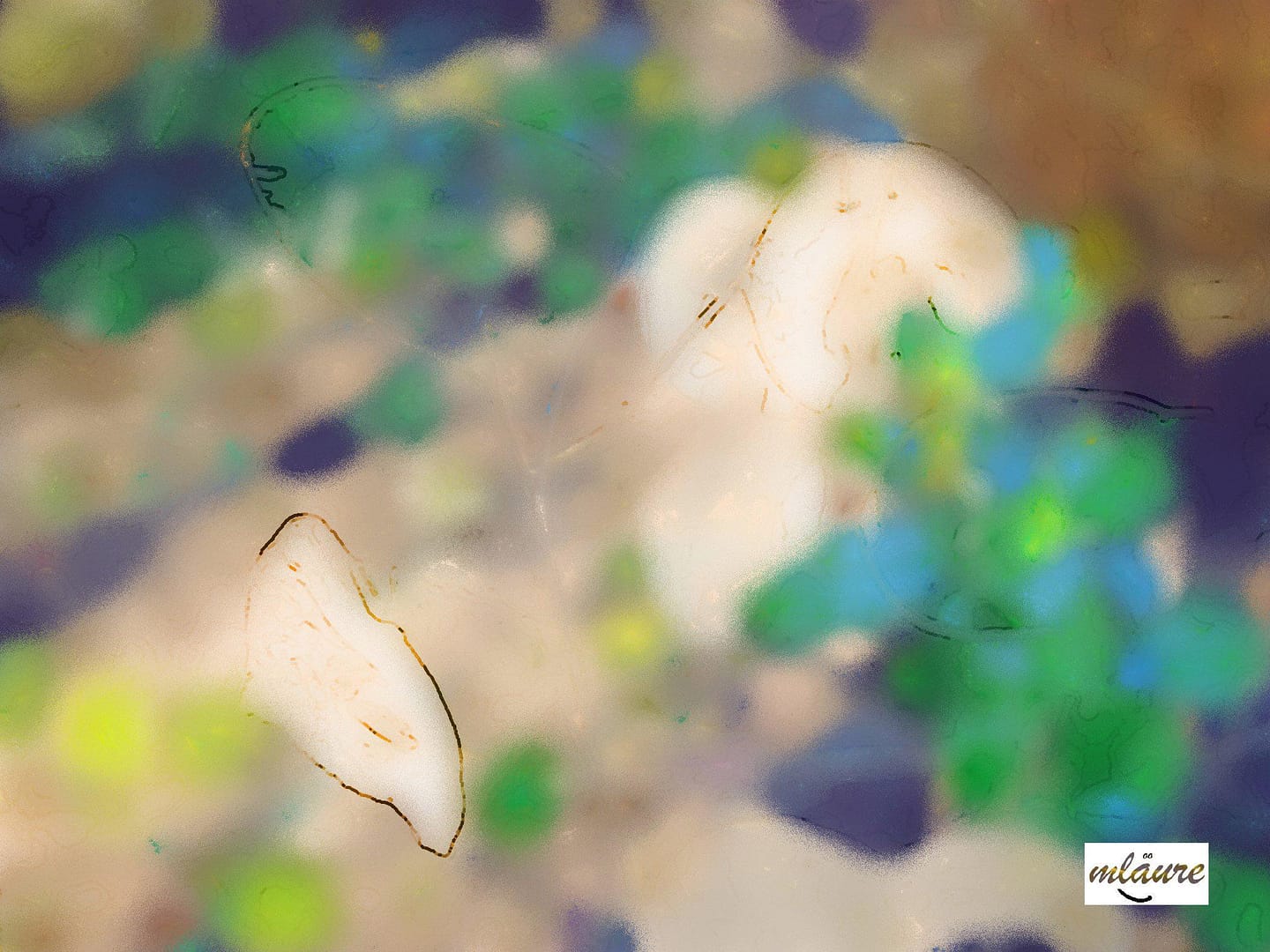 mlaure's gallery - digital postcard: spring