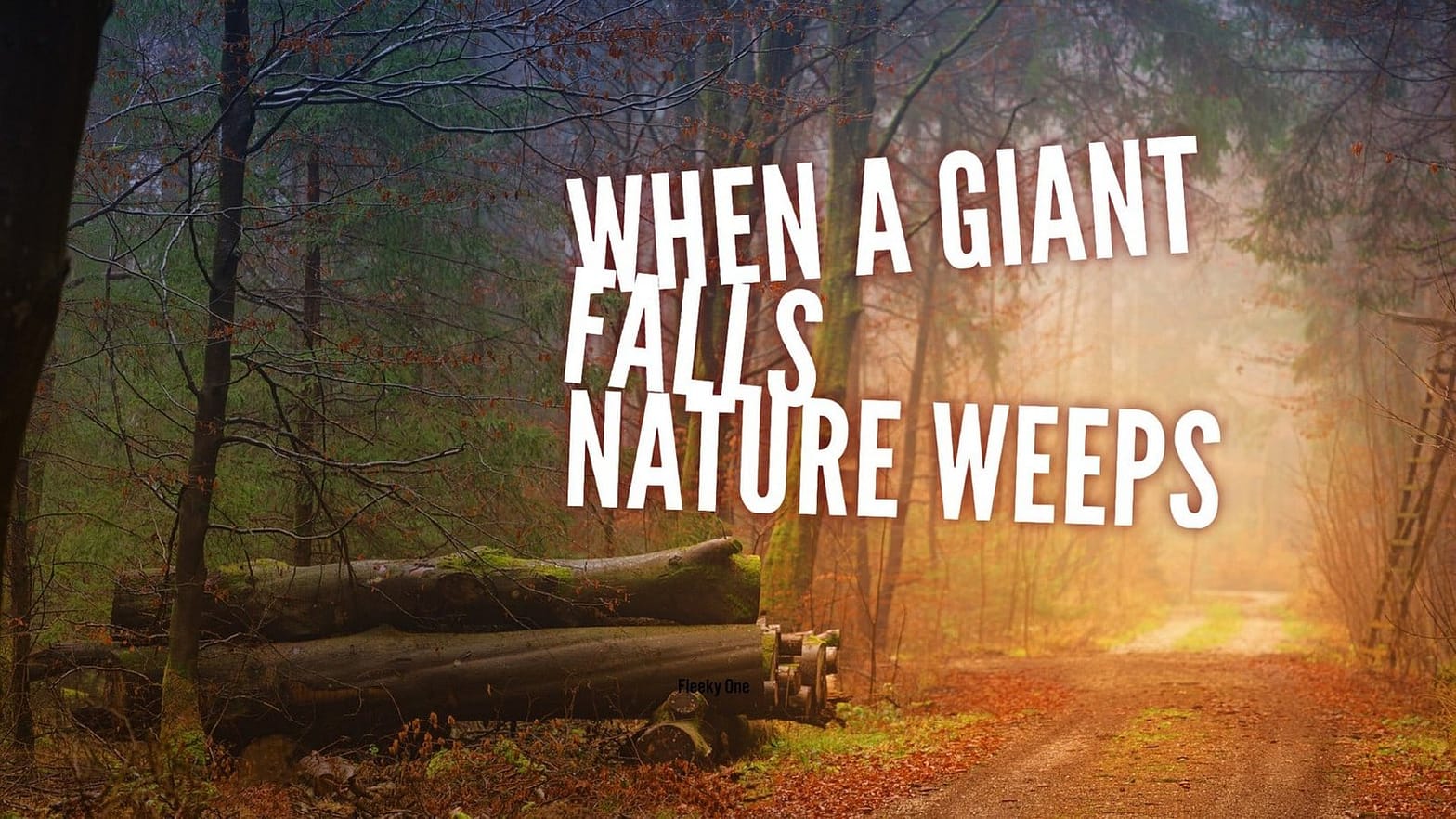 When a giant falls