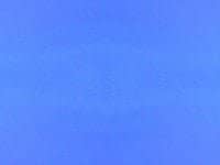 Backdrops - Variety - Blue
as  background and paperwall for all kind of use and occasions