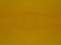 Backdrops - Variety - Deep Yelliw
as  background and paperwall for all kind of use and occasions