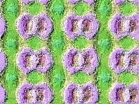 Backdrops - painted,  used as background for websites, screens, walls. Decor on the rear or front of a stage. Flowers

