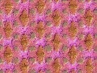 Backdrops - painted,  used as background for websites, screens, walls. Decor on the rear or front of a stage. Robyn
