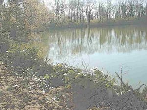 The dive. A river runs between them and yet it needs one dive to cross the river. Provided that you can swim