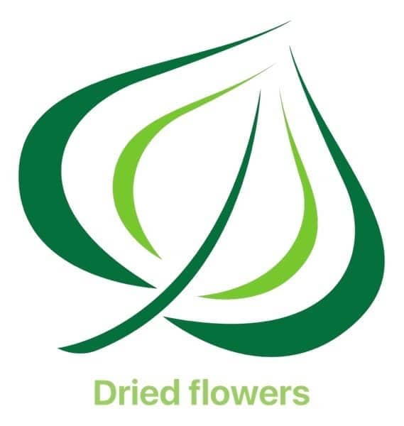 Dried flowers