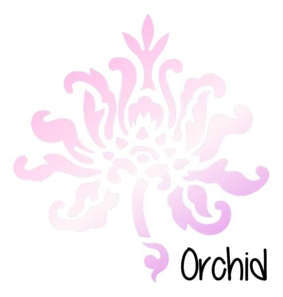 Orchid - orchidee