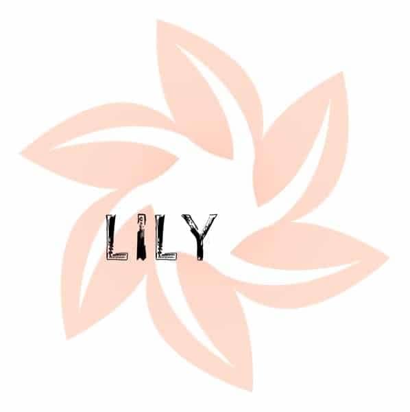 Lily - Lelie - Fleur de lys - Lis - Lilie