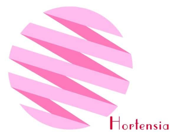 Hydrangea - Hortensia - Hortensie - Waterstruik