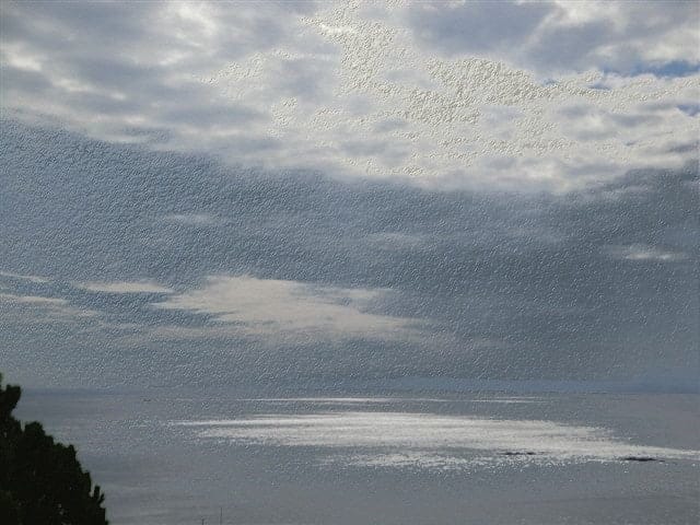 Mediteranean