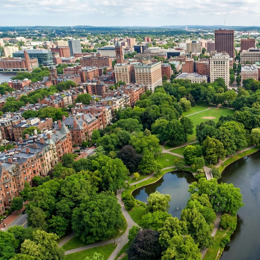 AI For Urban Tree Management AI For Urban Tree Management