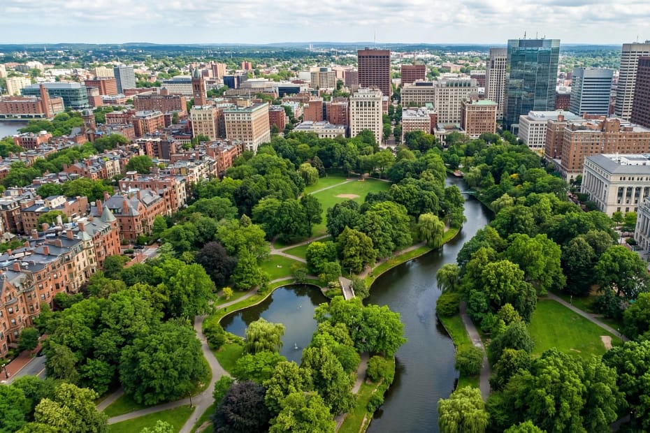 AI For Urban Tree Management