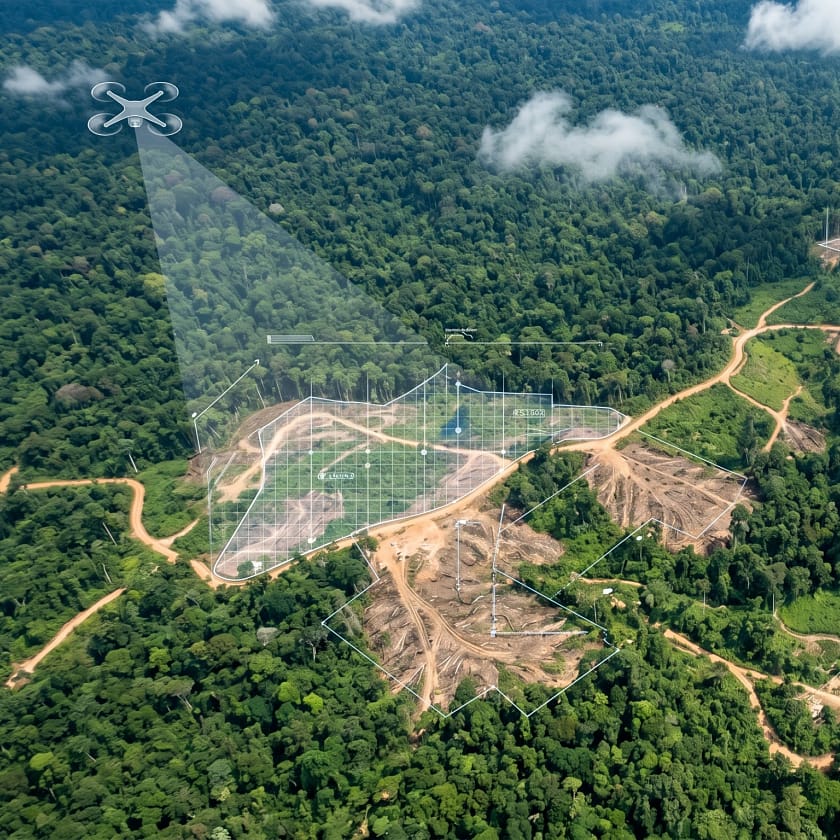 How AI Helps Combat Deforestation How AI Helps Combat Deforestation
