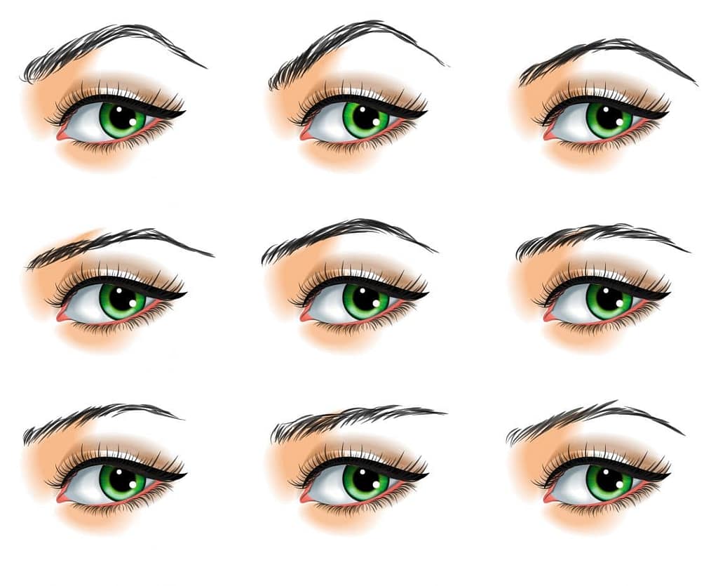 Eyebrow shape Eyebrows shapes look different according to your own tyoe and need specific and individual attention