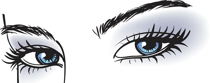 Beauty of an eyebrow The beauty of an eyebrow
