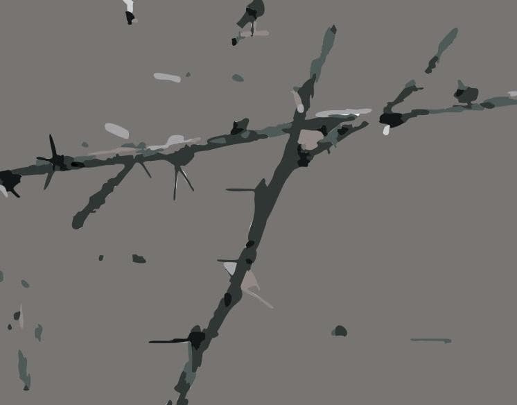 Verstikt In Doornen 2 Verstikt In Doornen, Door Zorgen En Verdriet. Hoevelen Zijn Het Niett? En Alles Verstikt