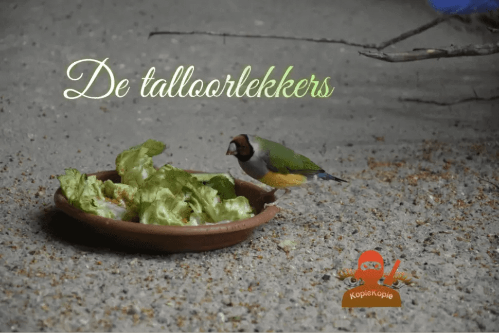 De Bordenlekkers. De Talloorlekkers. Oorlogskinderen En Allen Die Honger Lijden Kennen Het Wel
