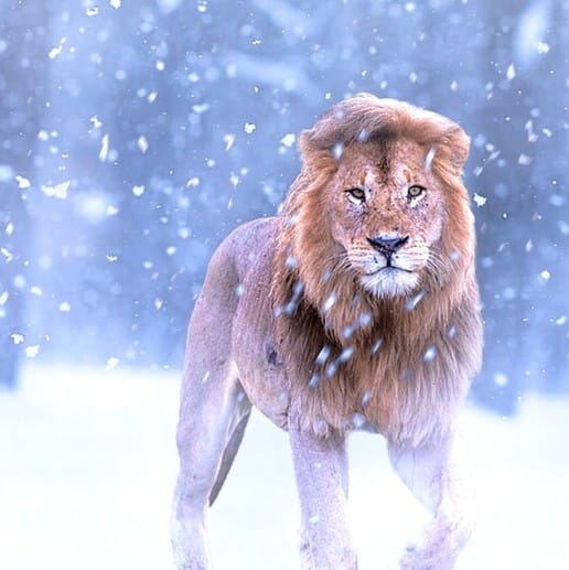 Vlogsuite Top Vlogging Techniques For Beginners 7 Vlogsuite Top Vlogging Techniques For Beginners