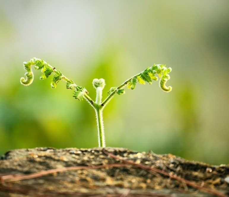 Vlogsuite Top Vlogging Techniques For Beginners 9 Vlogsuite Top Vlogging Techniques For Beginners