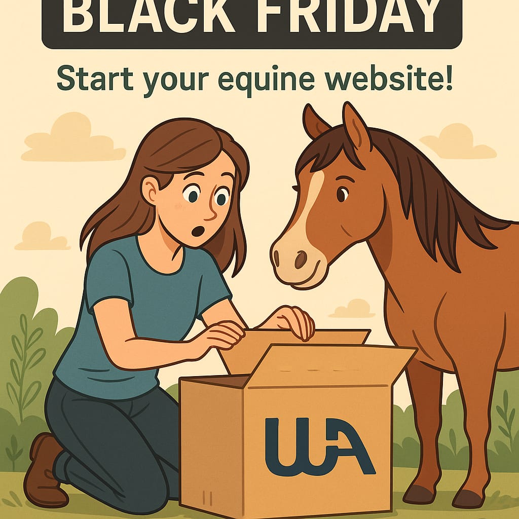 BLACK FRIDAY SPECIAL 1 IMG 2750