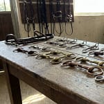 Bit Basics & Choosing The Right One For You And Your Horse 10 Bit Basics & Choosing The Right One For You And Your Horse