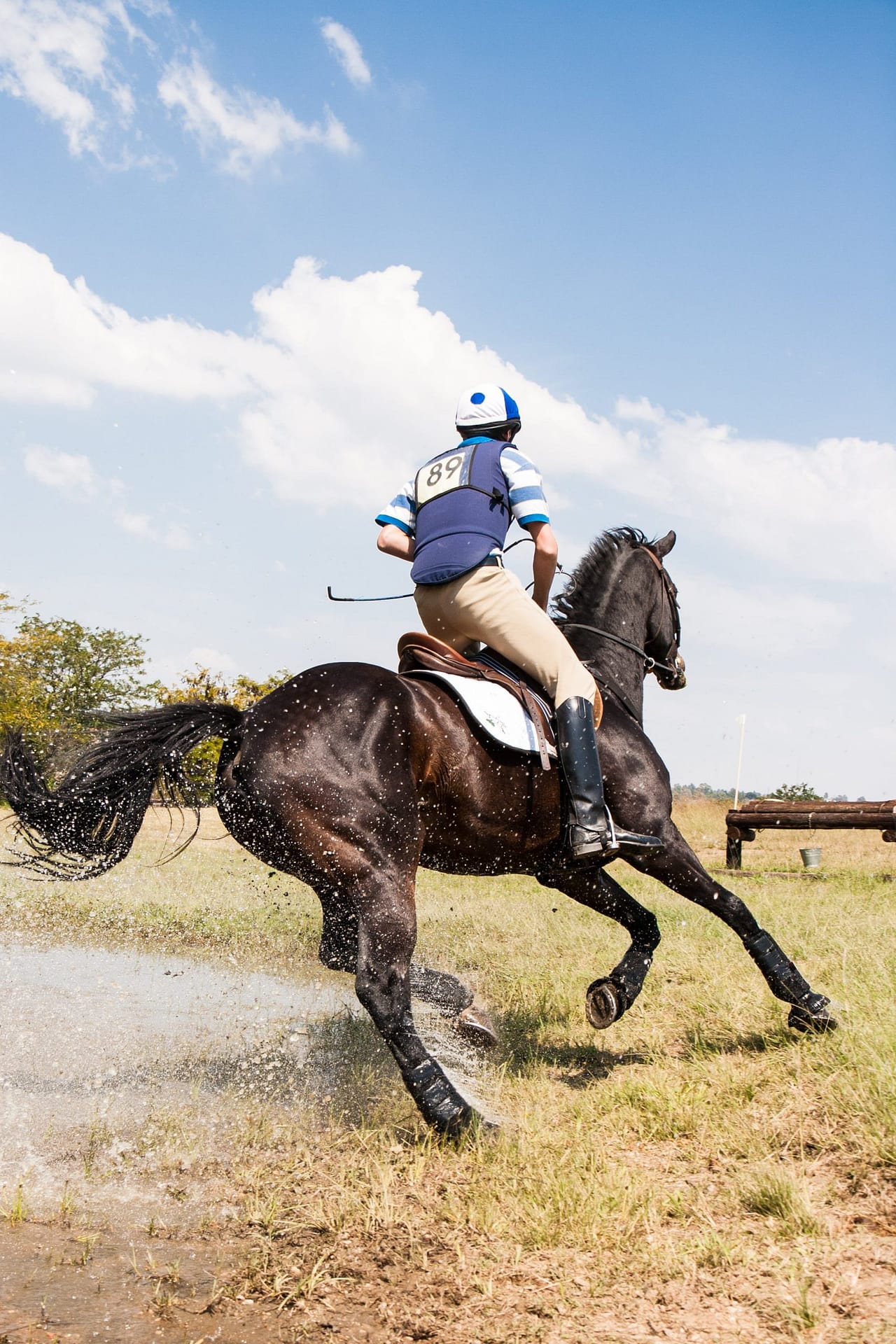 Chwals - Empowering Your Equestrian Passion Online