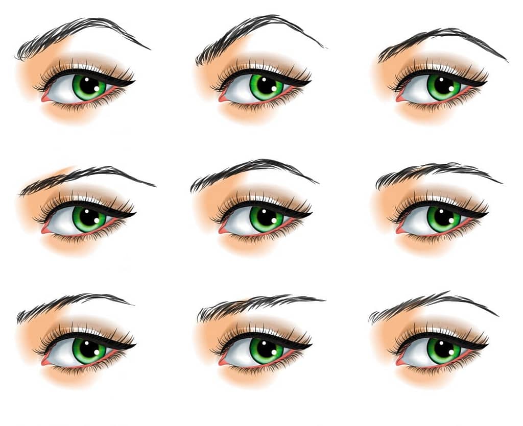 Eyebrows shapes look different  according to your own tyoe and need specific and individual attention