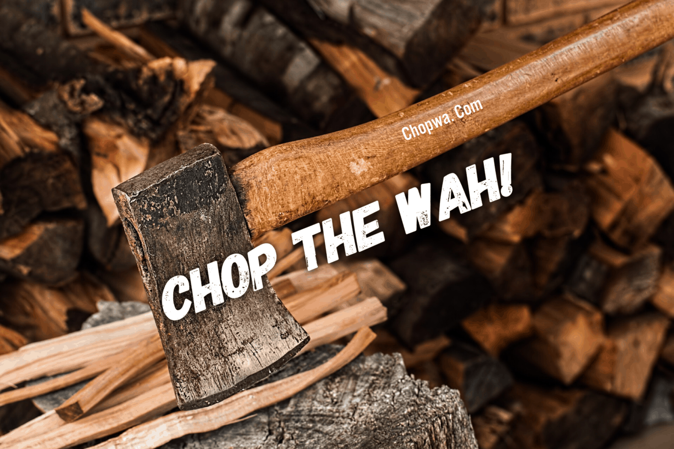 TERMS AND CONDITIONS TERMS AND CONDITIONS for chopwa