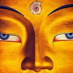 When your third eye is active