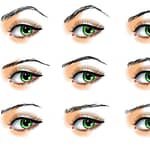 Eyebrows shapes