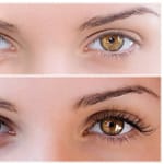 Thick or thin eyebrows