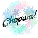The shopkeeper of Chopwa. A digital retail shop with beauty tips, home and garden, kitchen and houseware, sports, health, and much more.