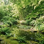 The Ultimate Guide To Mindfulness And Wellness The Ultimate Guide To Mindfulness And Wellness