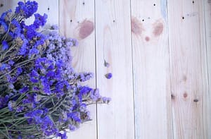 Lavender  A Sturdy Plant Made Of Sweet Oil that gives us a sense of calm through the day. 
