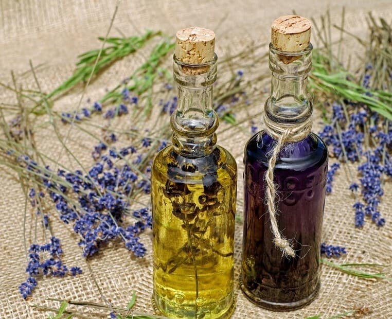 Historical Uses Of Lavender In Herbal Remedies