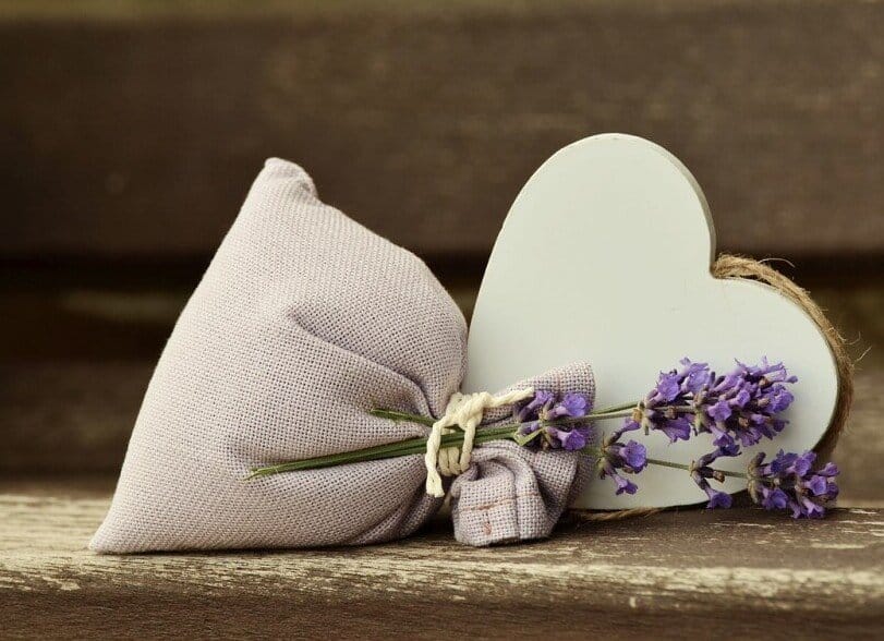 Historical Uses Of Lavender In Herbal Remedies