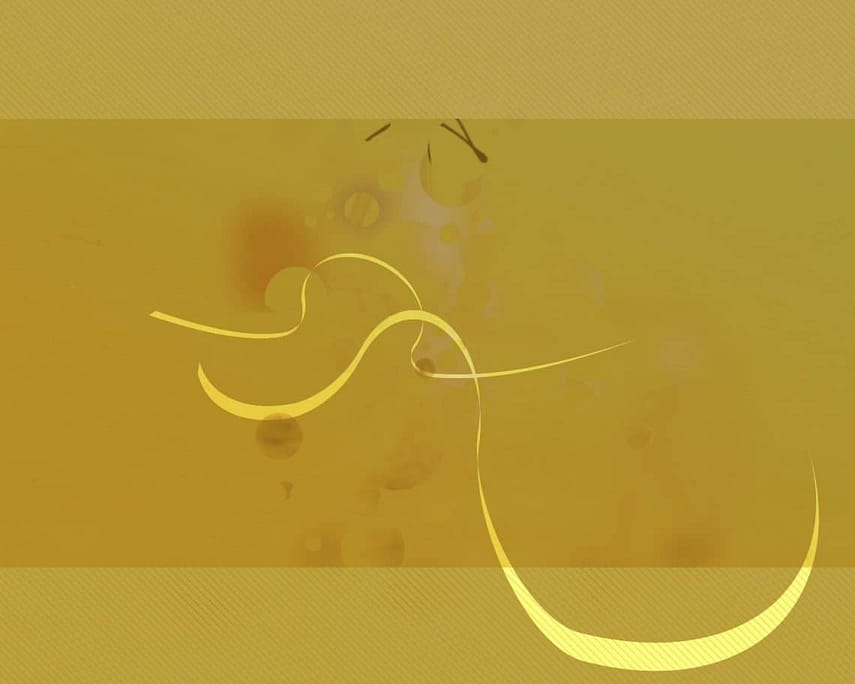  Brows on fleek. Eyebrows a dream for all. Eyes are the mirrors of our souls Reflections of light or darkness. Enjoy! A special gift from mib 