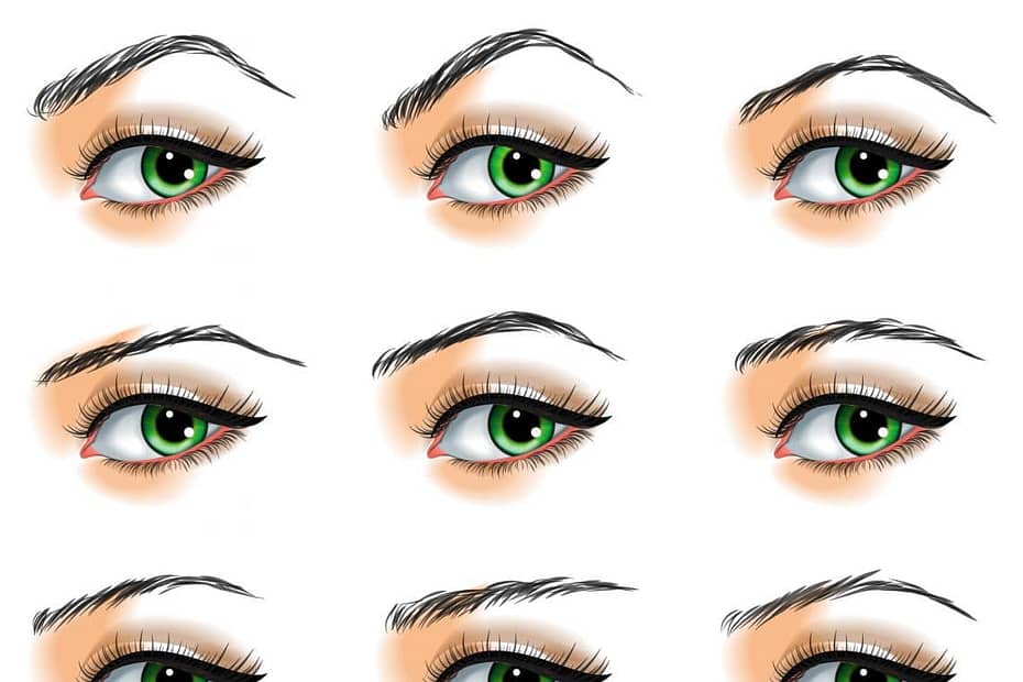 Eyebrows shapes
