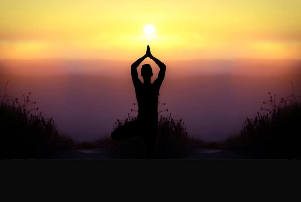 Lavender Oil And Relaxation Techniques Ease PTSD Symptoms Daily Lavender Oil Solutions