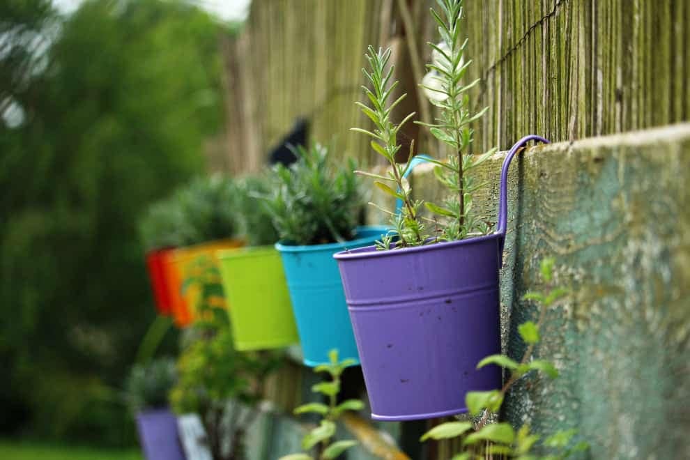 Spring and summer - Nature vs Insect Repellents Spring, nature vs insect repellents. Use natural remedies to protect your skin from bites.