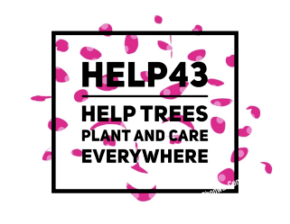 Help for trees, a blog about trees: plant, grow, care, preserve, protect trees and forrests