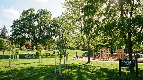 How To Start A Community Tree Planting Program How To Start A Community Tree Planting Program