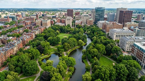 AI For Urban Tree Management AI For Urban Tree Management