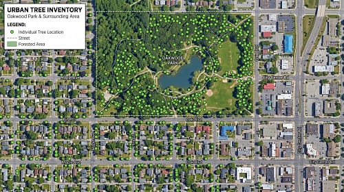 GIS Mapping For Tree Management GIS Mapping For Tree Management