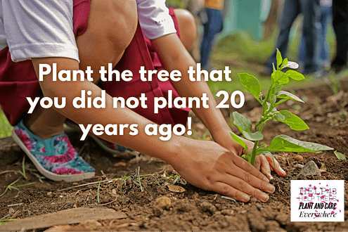 Help the tree wherever you are. Plant, protect and grow the forest. Nature is our best friend