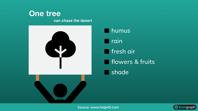 Quotes about trees