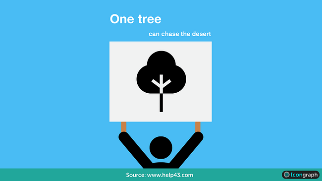 Quotes about trees